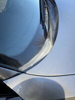 IMG_4469.jpeg IMG_4469.jpeg