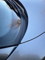 IMG_4477.jpeg IMG_4477.jpeg