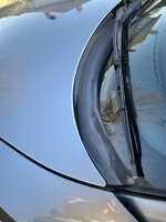 IMG_4471.jpeg IMG_4471.jpeg
