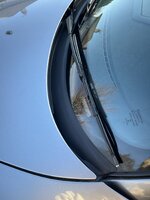 IMG_4473.jpeg IMG_4473.jpeg