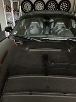 IMG_7553.jpeg