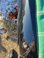 IMG_8418.jpeg
