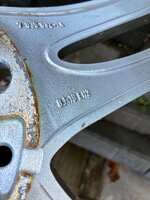 IMG_2719.jpeg