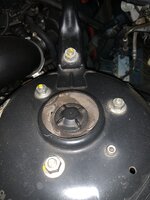 IMG_3521.jpeg