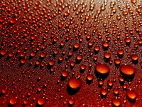 20260124_114346.jpg