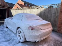 IMG_5573.jpeg