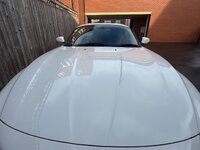 IMG_5602.jpeg