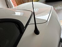 IMG_5622.jpeg