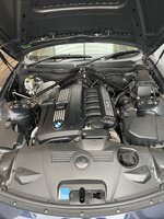 IMG_7267.jpeg
