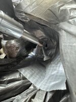 IMG_2967.jpeg