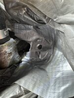 IMG_2968.jpeg