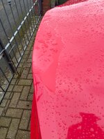 IMG_7190.jpeg