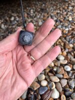IMG_2897.jpeg
