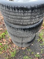 IMG_5934.jpeg