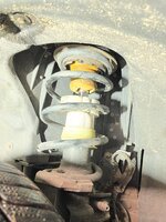IMG_2637.jpeg