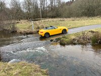 IMG_1338.jpeg