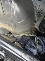 IMG_8908.jpeg