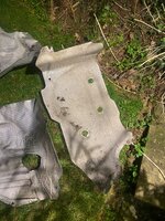 IMG_7961.jpeg
