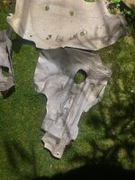 IMG_7963.jpeg