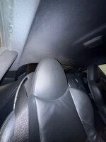 IMG_3654.jpeg