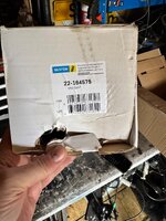 IMG_2085.jpeg