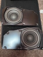 IMG_0342.jpeg