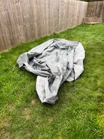 IMG_2143.jpeg