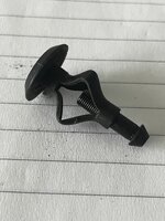 IMG_3915.jpeg