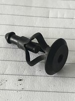 IMG_3916.jpeg