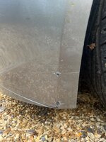 IMG_4295.jpeg