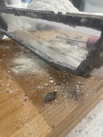 IMG_3115.jpeg