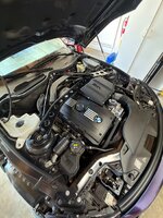 IMG_2611.jpeg