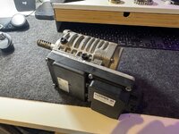 IMG_8209.jpeg