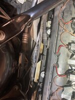 IMG_2964.jpeg