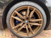 IMG_2719.jpeg