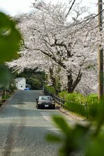 DSC_8129 (2).jpg