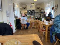 IMG_1084.jpeg