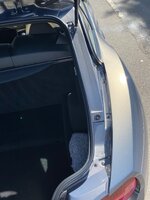 IMG_0215.jpeg