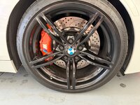 IMG_0184.jpeg