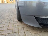 IMG_6416.jpeg