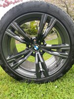 IMG_2235.jpeg