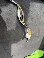 IMG_6865.jpeg