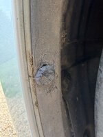IMG_8427.jpeg