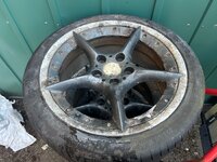 IMG_7149.jpeg
