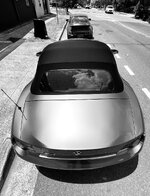 IMG_4684.jpeg