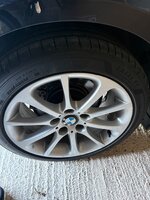IMG_6181.jpeg