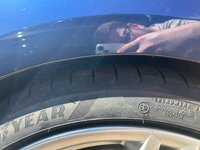 IMG_7726.jpeg