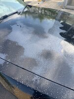 IMG_2892.jpeg
