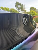IMG_3021.jpeg