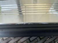 IMG_3040.jpeg